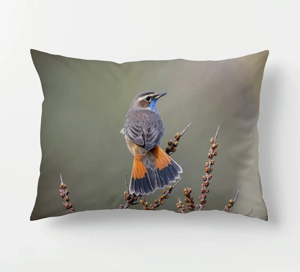 Gatto blu cuscino da Tom's Wildlife