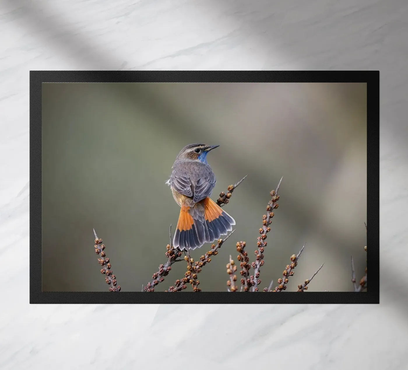 Blaukehlchen Fußmatte von Tom's Wildlife