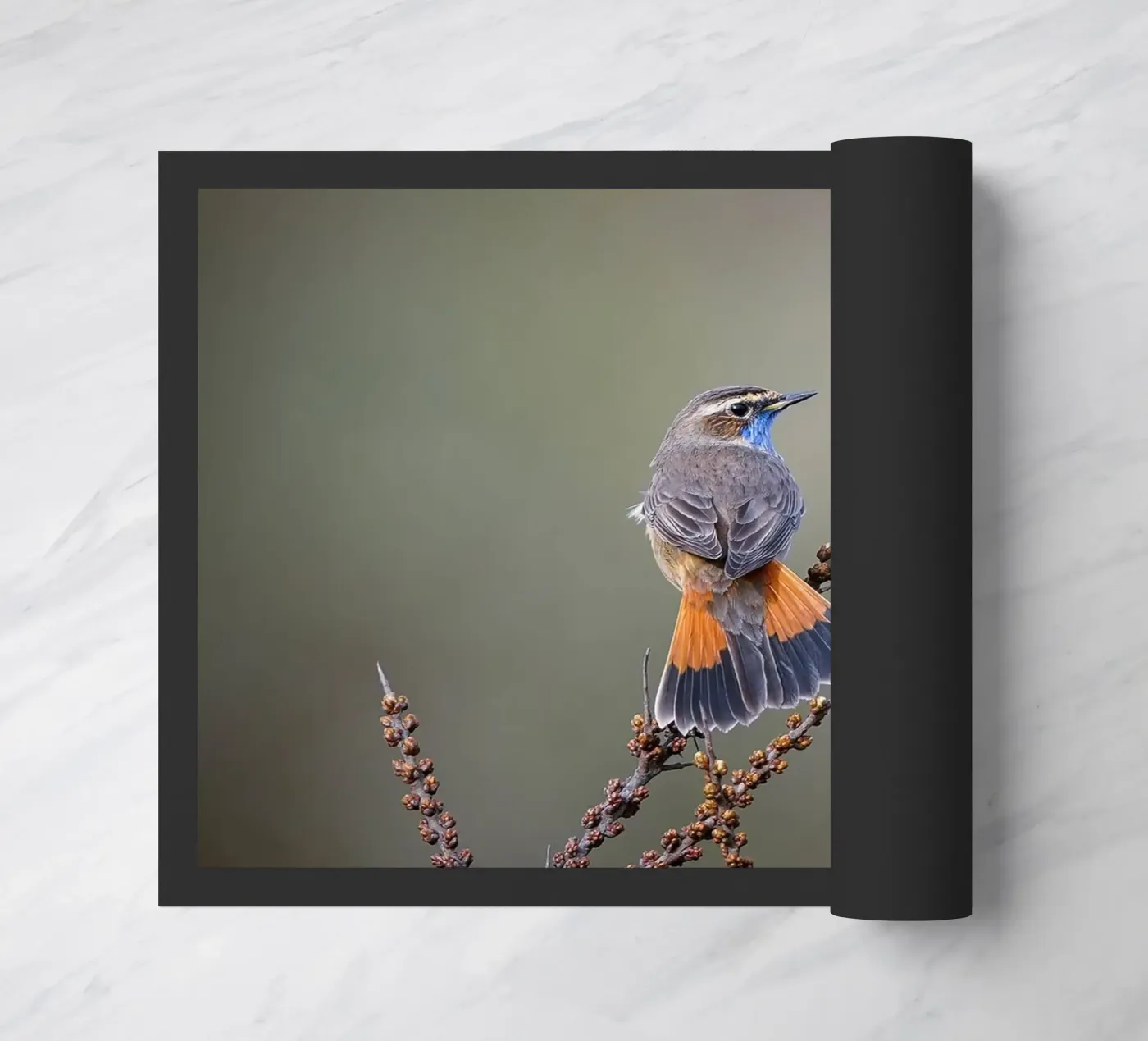 Blaukehlchen Fußmatte von Tom's Wildlife