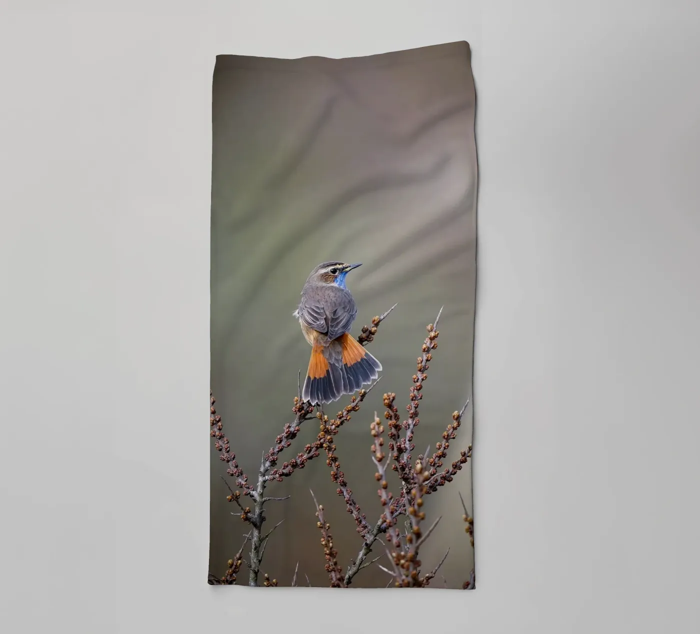 Bluethroat towel by Tom's Wildlife