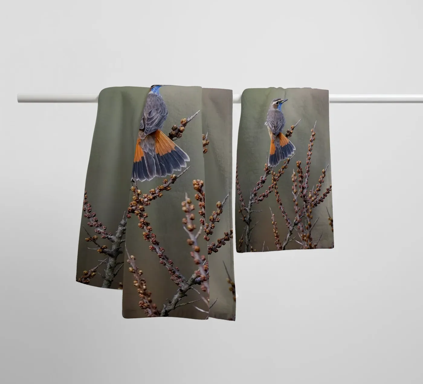 Bluethroat towel by Tom's Wildlife