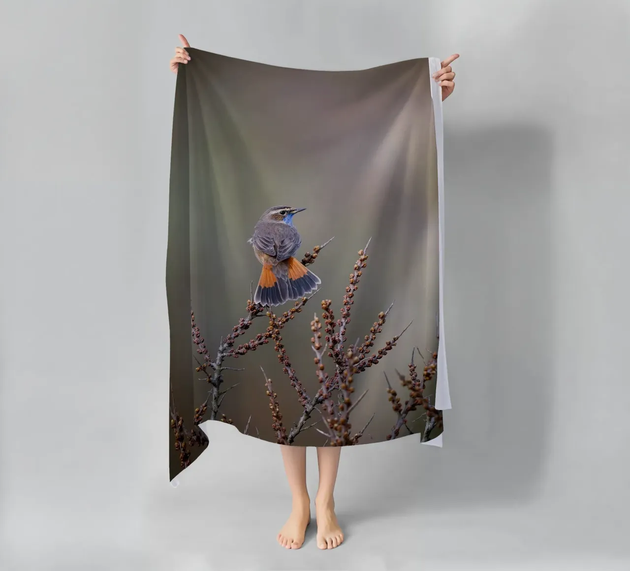 Gatto blu telo mare da Tom's Wildlife