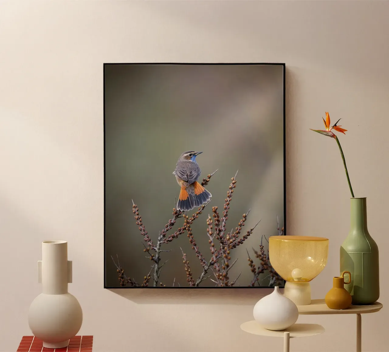 Bluethroat plexiglass da Tom's Wildlife