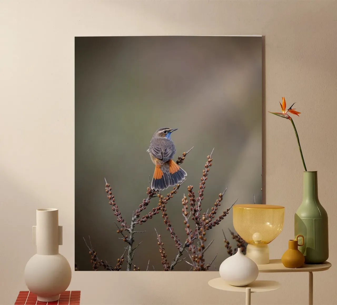 Gatto blu plexiglass da Tom's Wildlife