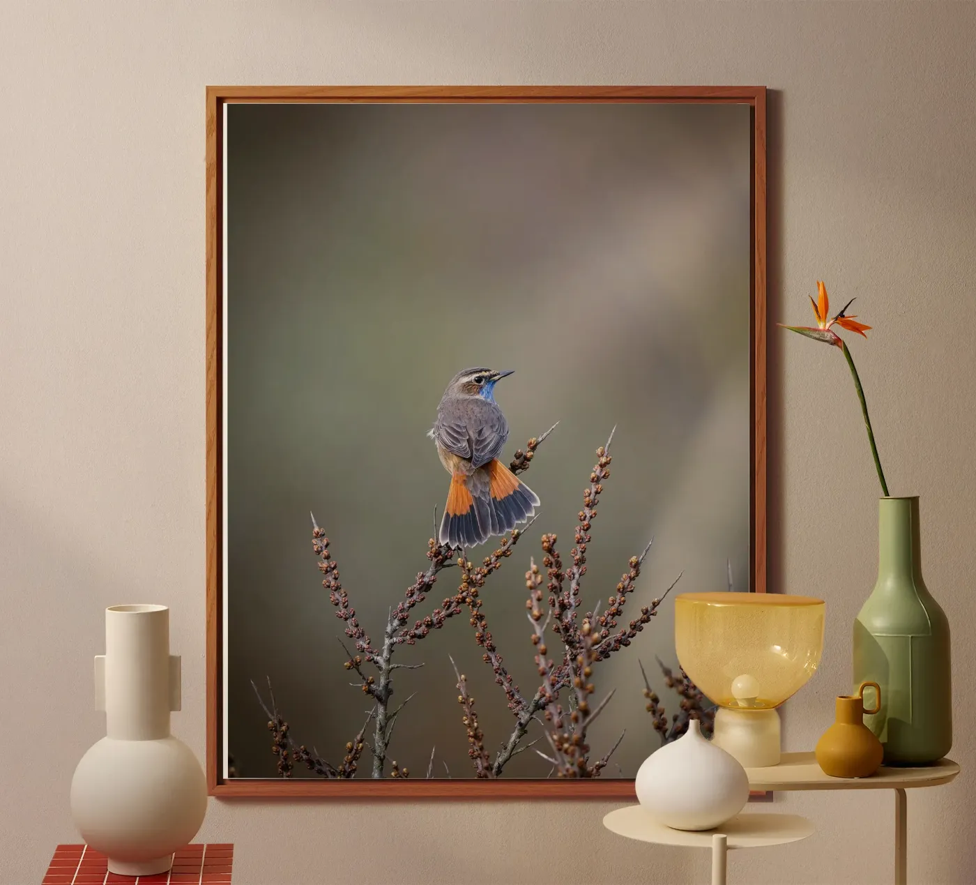 Bluethroat forex plate by Tom's Wildlife