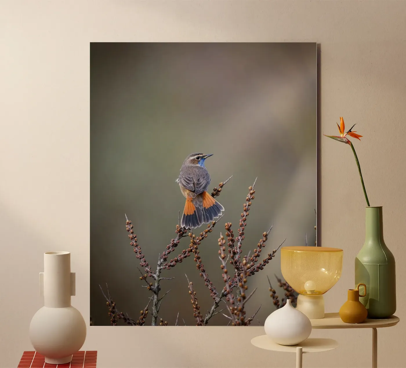 Bluethroat forex plate by Tom's Wildlife