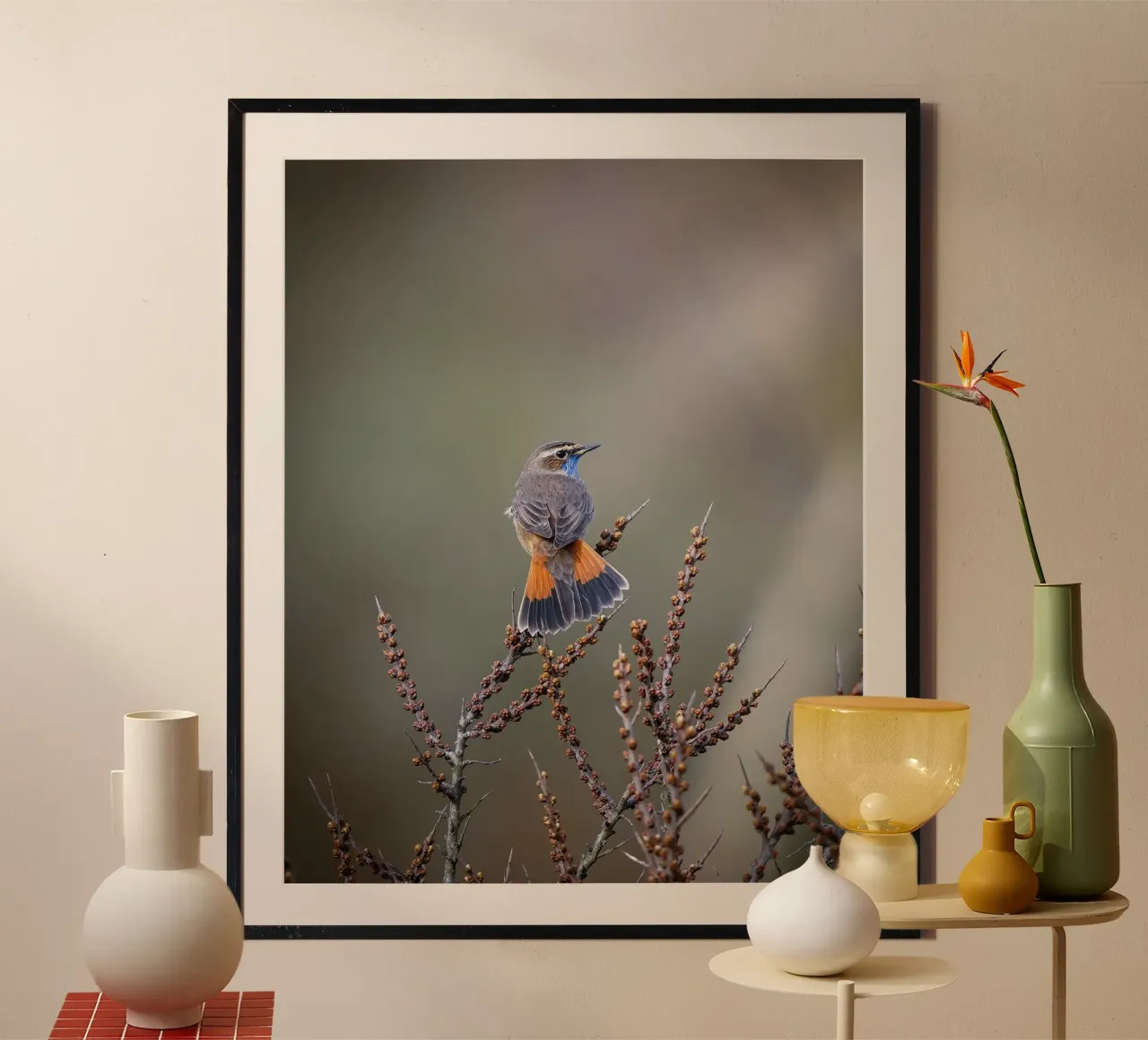 Bluethroat poster by Tom's Wildlife