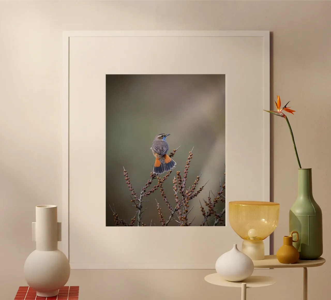Bluethroat poster by Tom's Wildlife