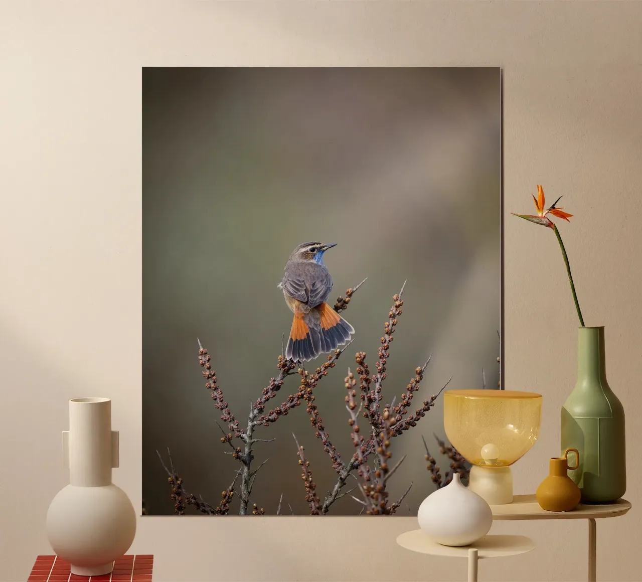 Bluethroat poster by Tom's Wildlife