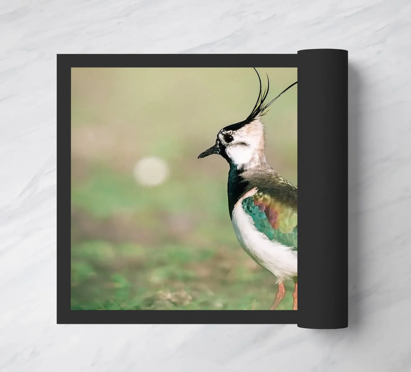 Lapwing doormat by Tom's Wildlife