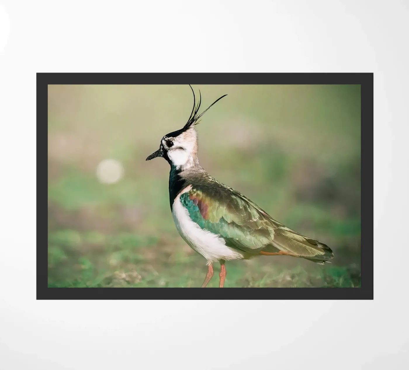 Lapwing doormat by Tom's Wildlife