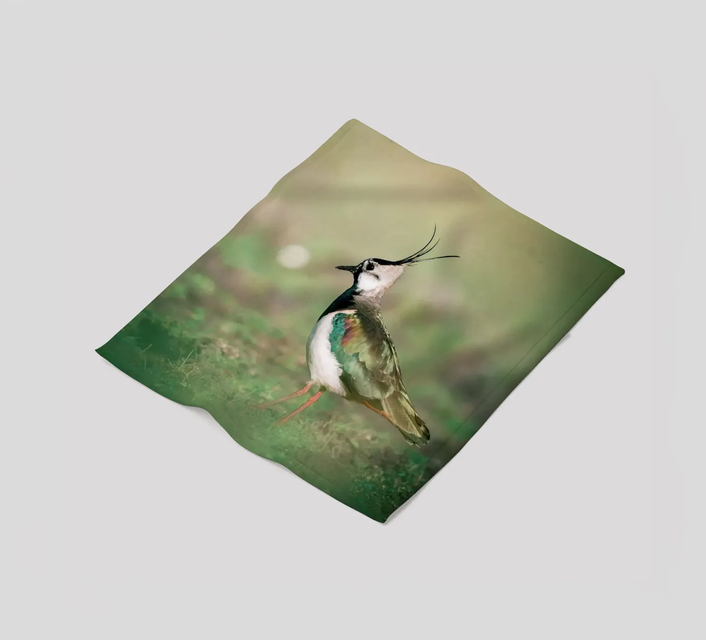 Pavoncella coperta in pile da Tom's Wildlife