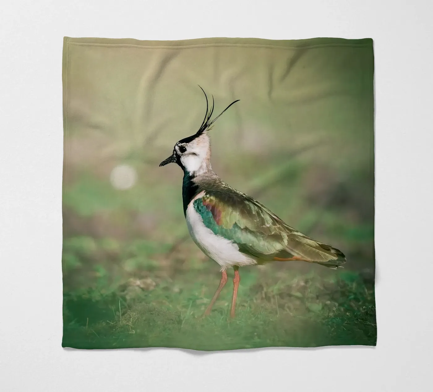 Pavoncella coperta in pile da Tom's Wildlife