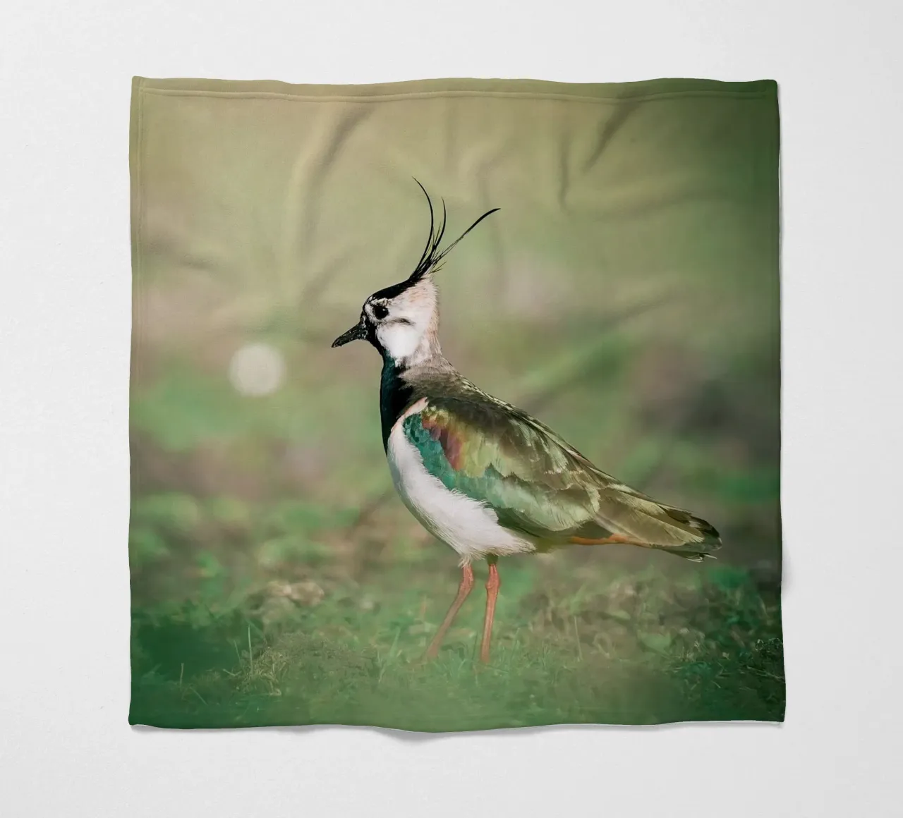 Kiebitz Fleecedecke von Tom's Wildlife