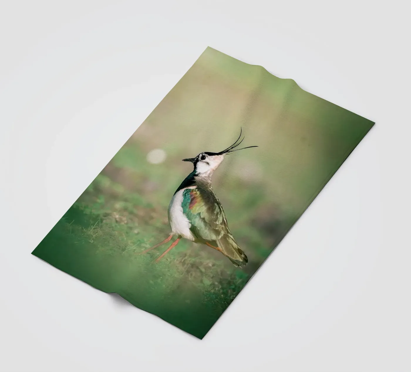 Pavoncella coperta in pile da Tom's Wildlife