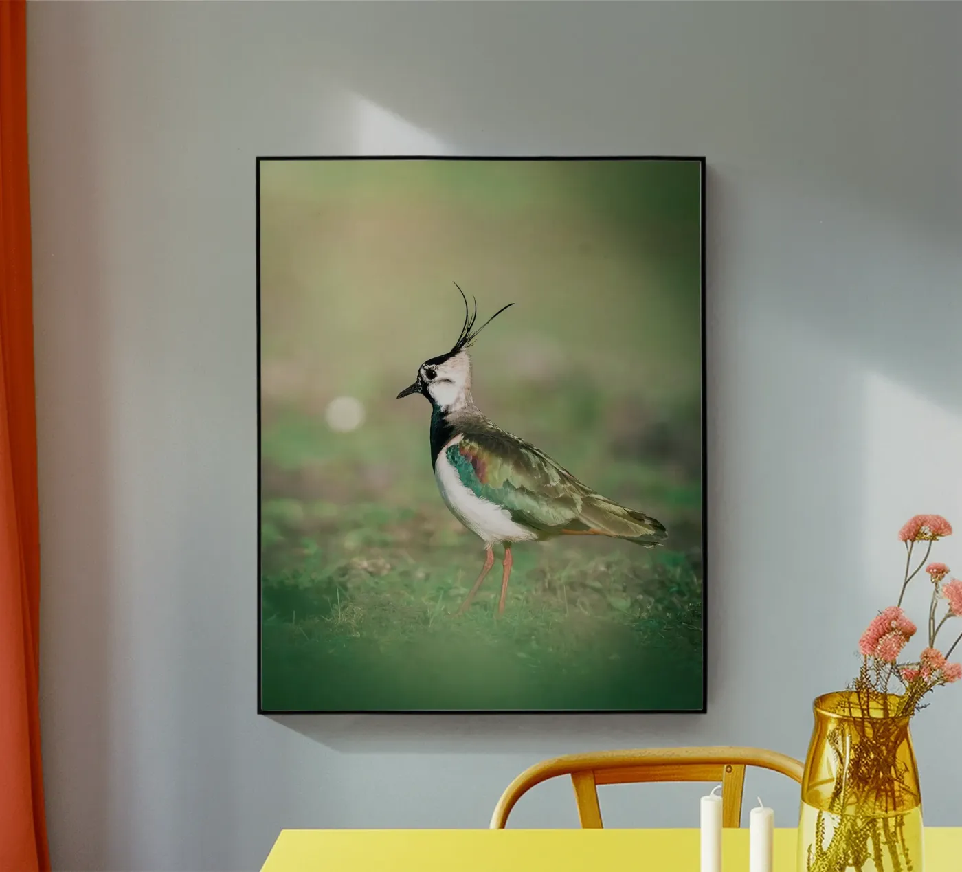 Pavoncella plexiglass da Tom's Wildlife