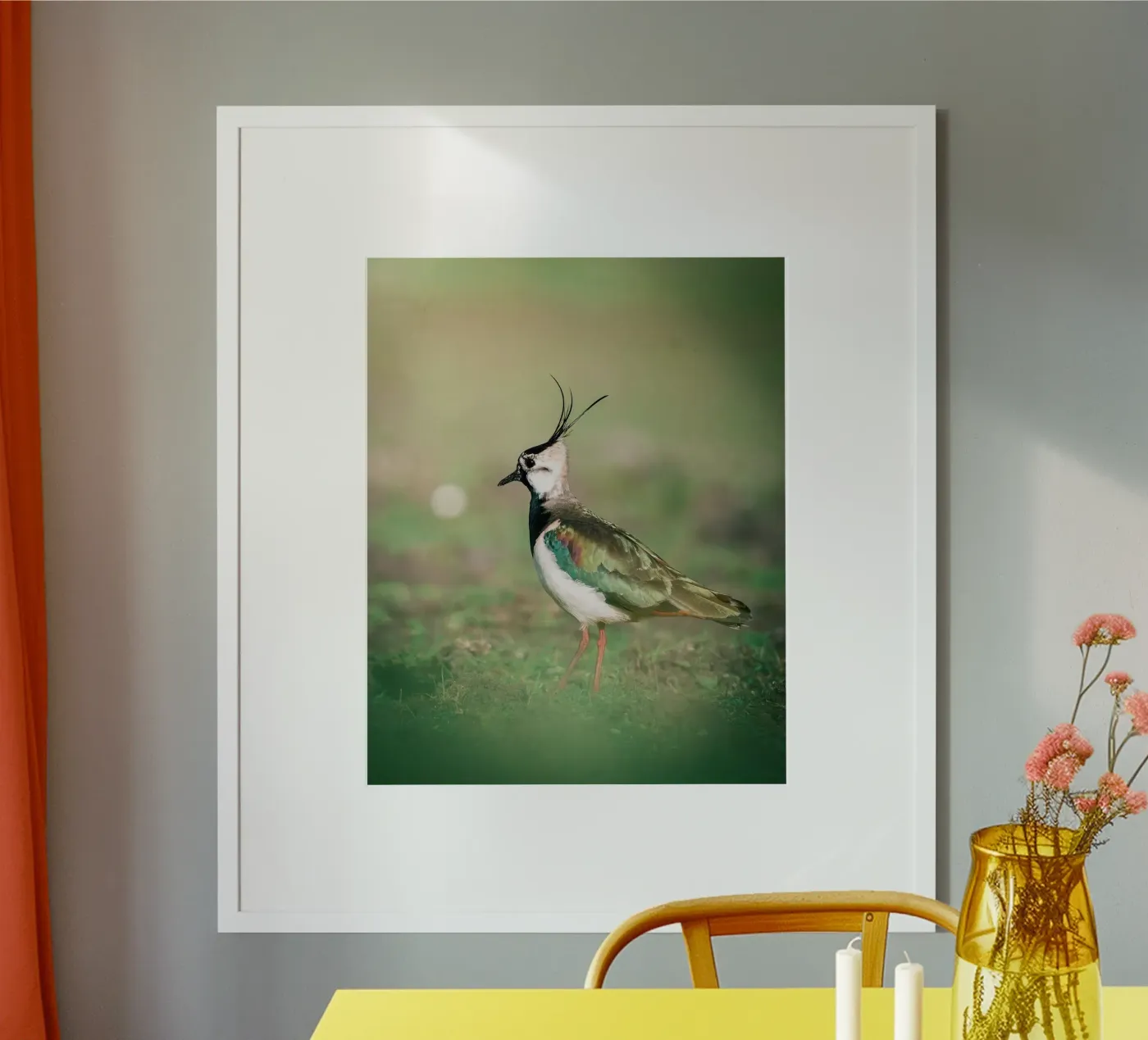 Lapwing poster by Tom's Wildlife