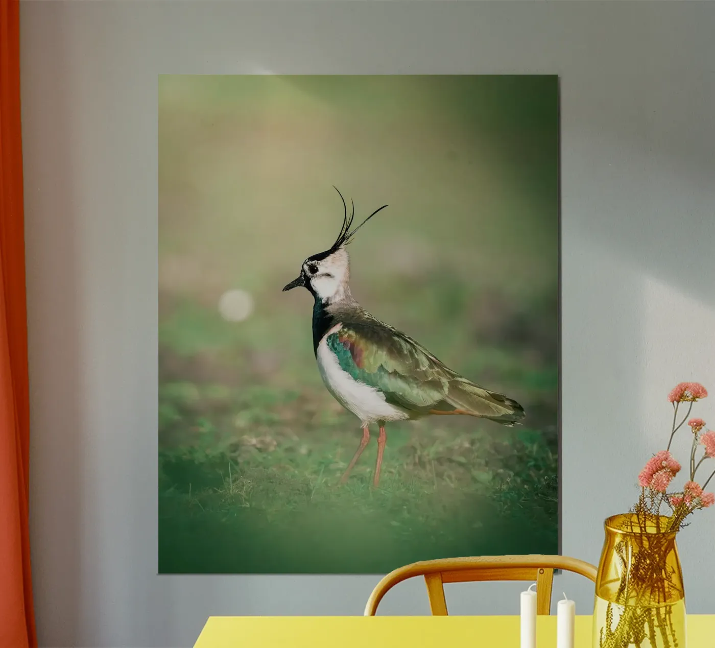 Lapwing poster by Tom's Wildlife