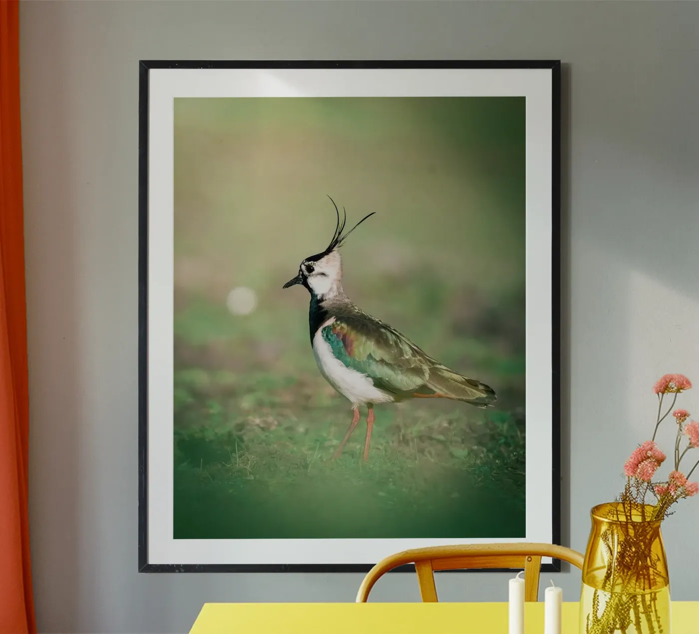 Lapwing poster by Tom's Wildlife