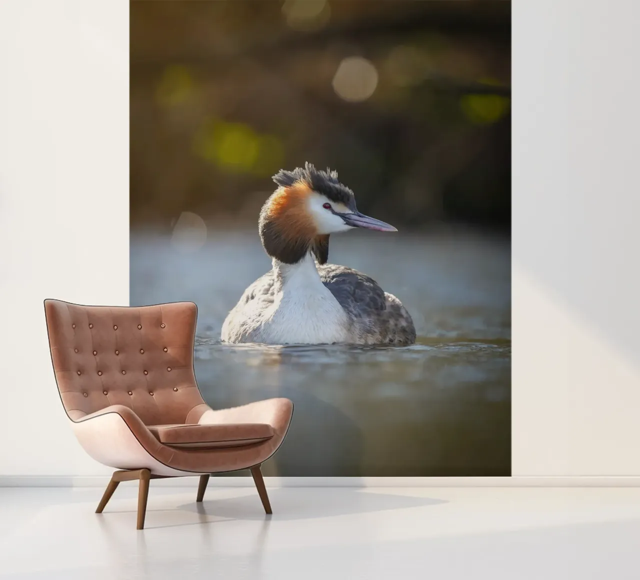 Crebe photo wallpaper by Tom's Wildlife