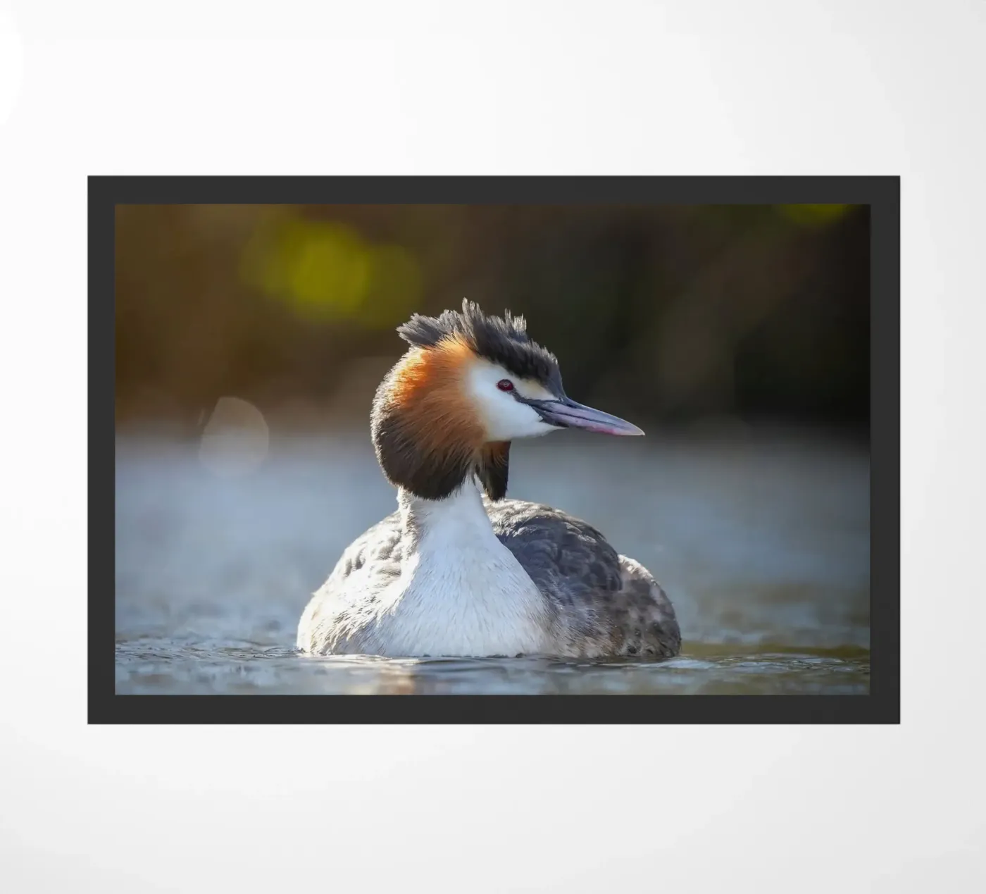 Crebe deurmat van Tom's Wildlife