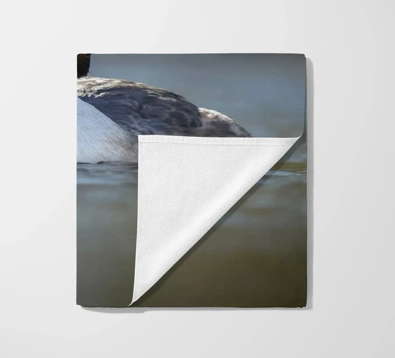 Crebe telo mare da Tom's Wildlife