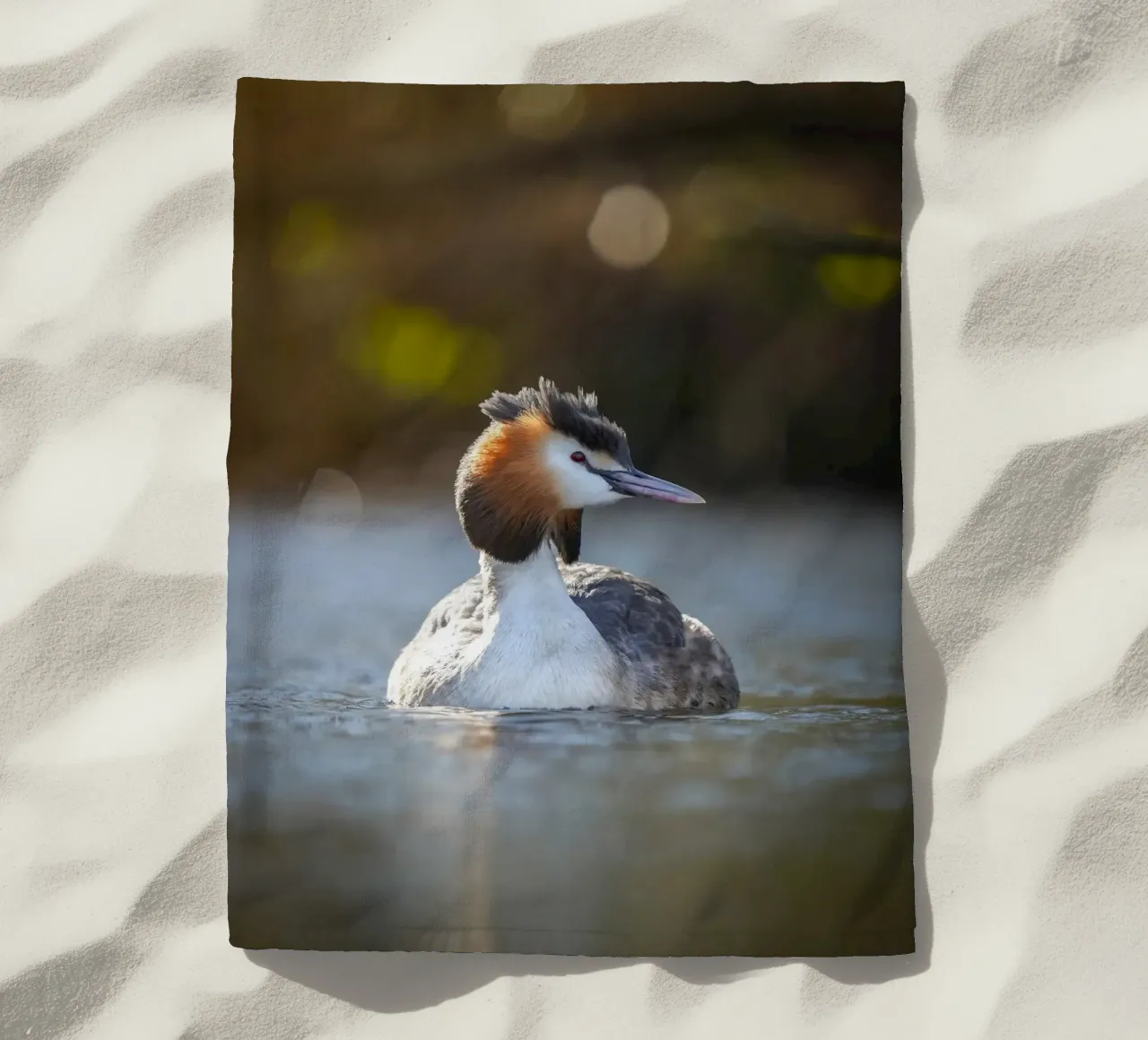 Crebe telo mare da Tom's Wildlife