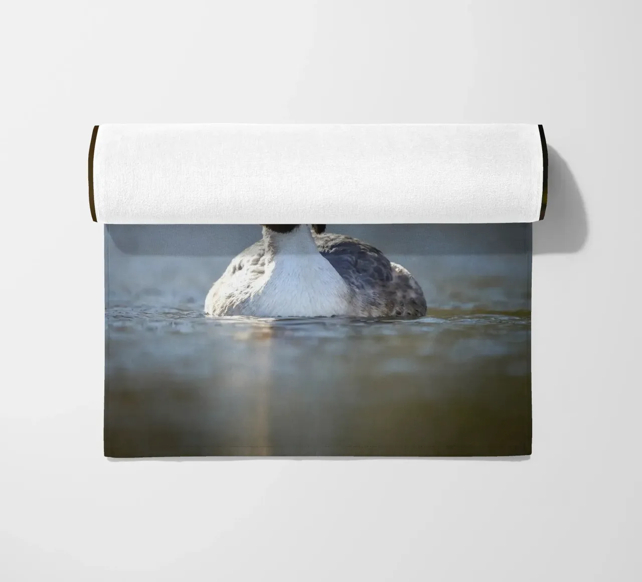 Crebe telo mare da Tom's Wildlife