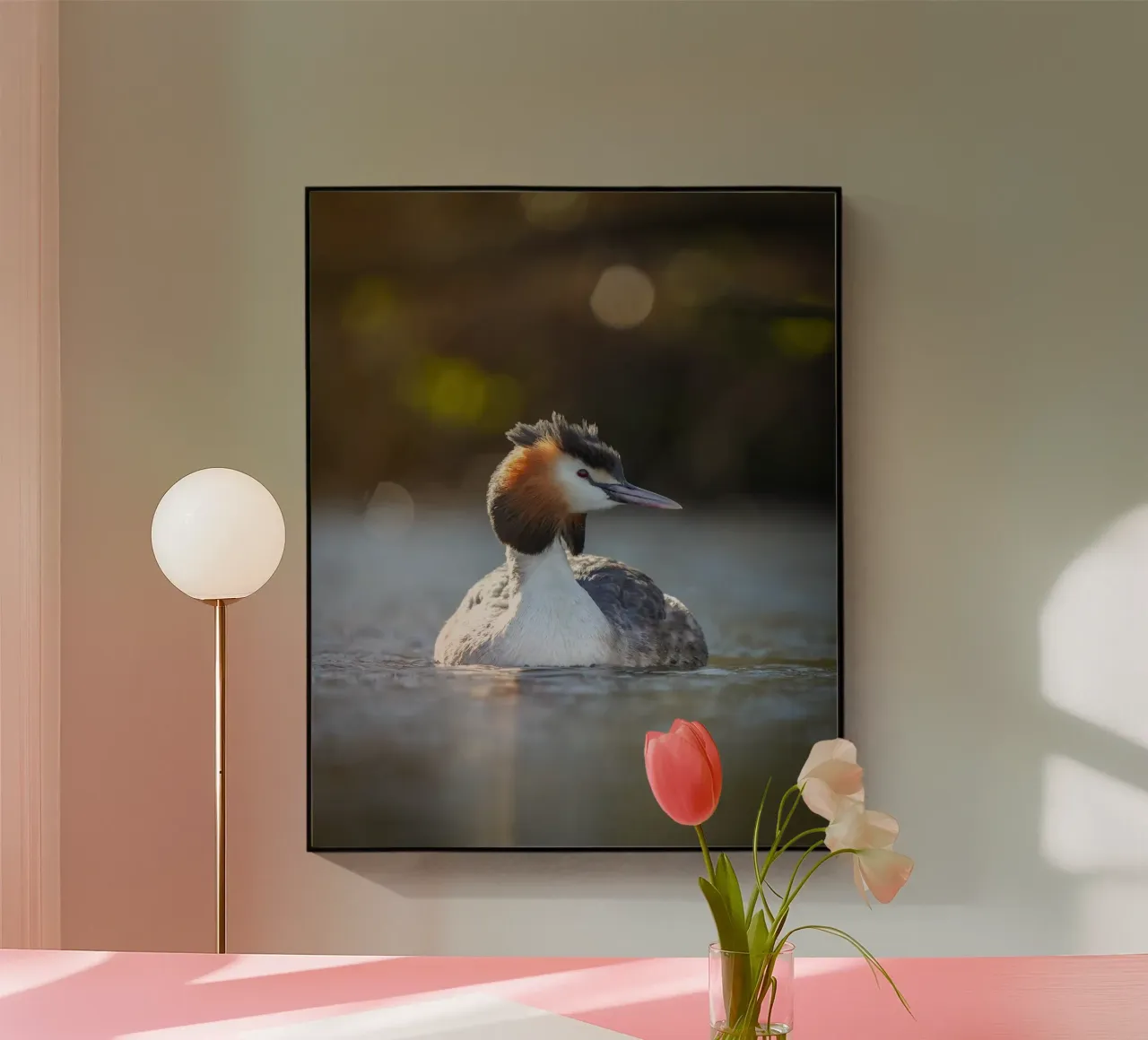 Crebe plexiglass da Tom's Wildlife