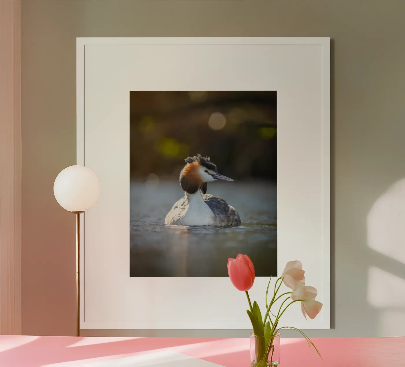 Crebe poster van Tom's Wildlife