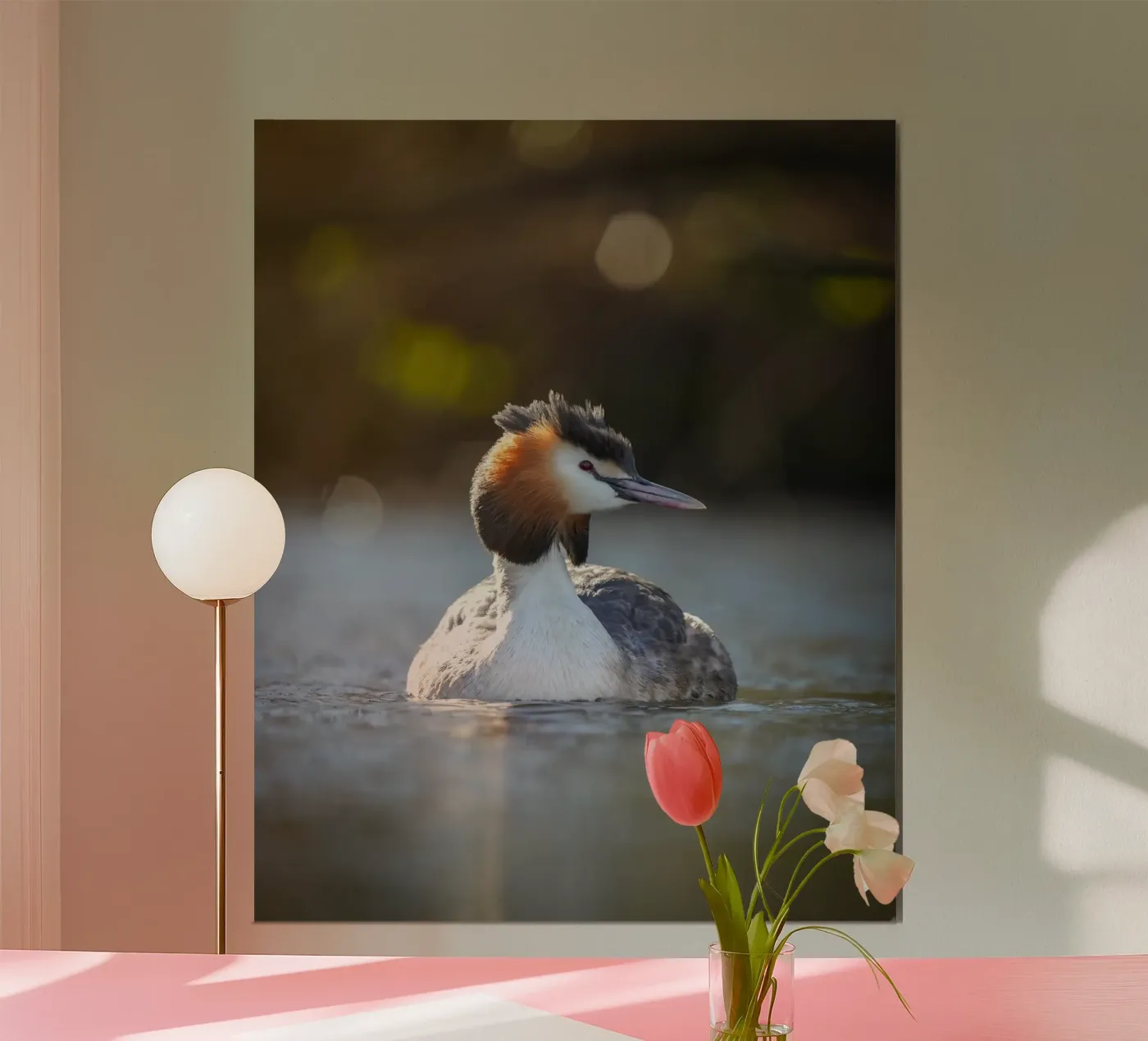 Crebe poster van Tom's Wildlife