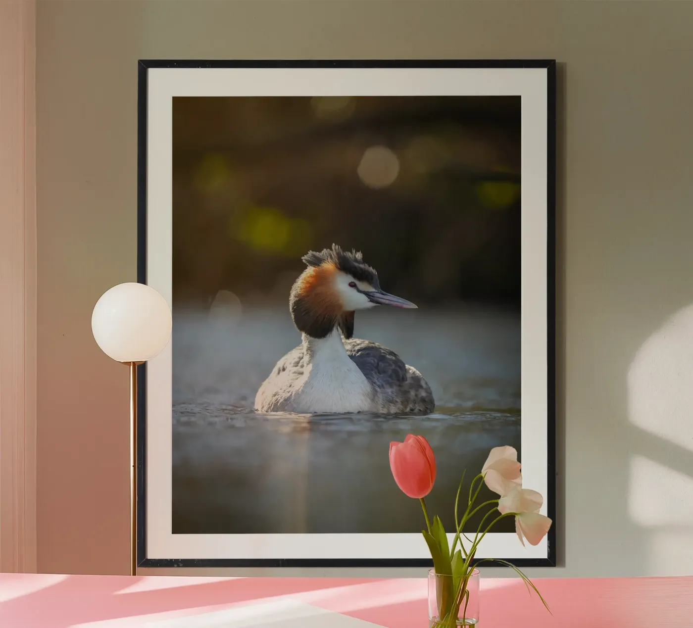 Crebe poster van Tom's Wildlife