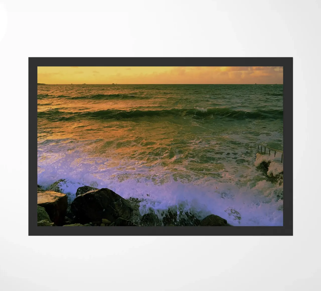 FAA263 zerbino da Thierry vobmann photography