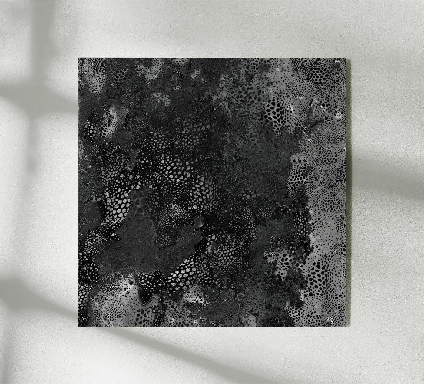 carbonio1 plexiglass da Giulio Iurissevich