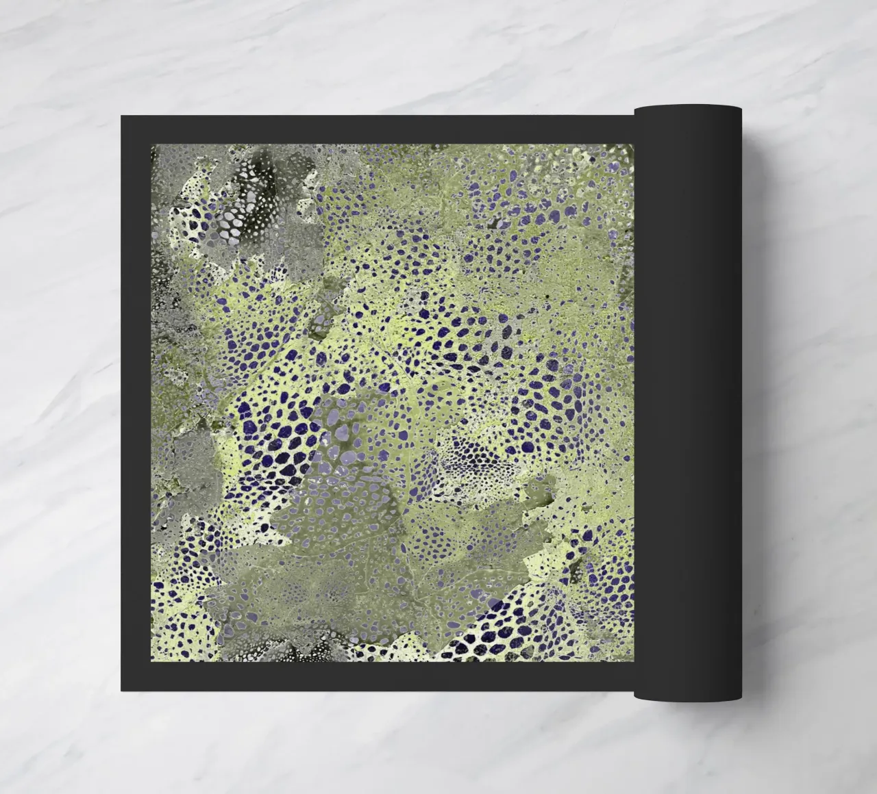 imaged1 zerbino da Giulio Iurissevich