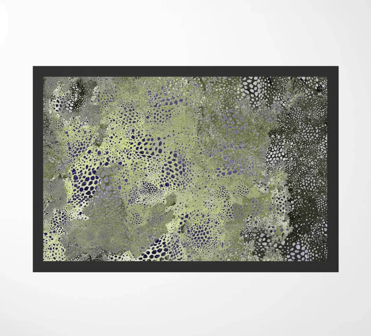 imaged1 zerbino da Giulio Iurissevich