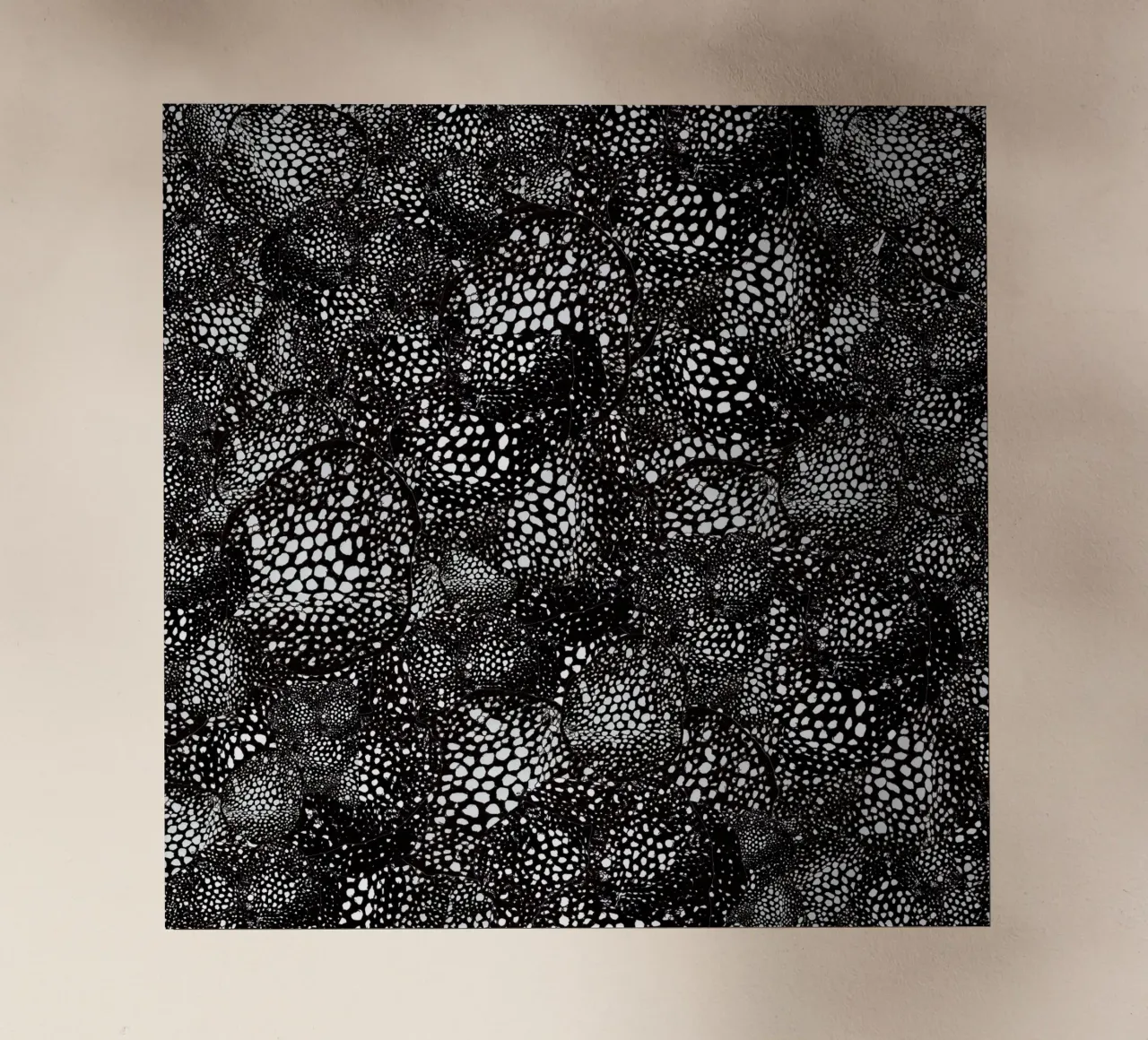 mora pellicola backlit da Giulio Iurissevich