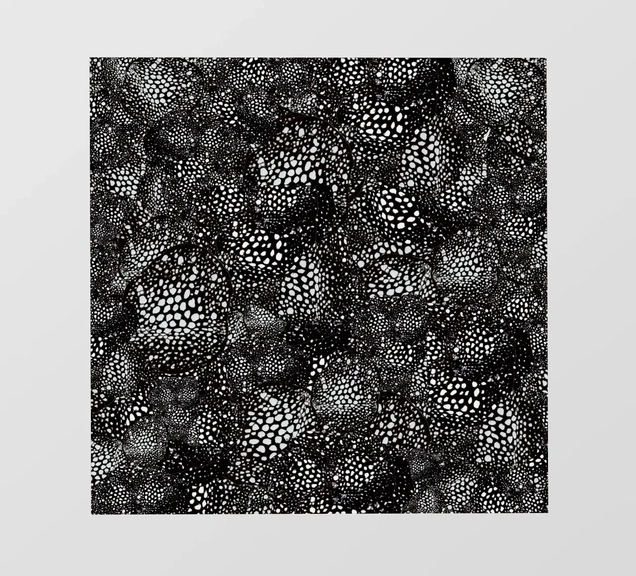 mora pellicola backlit da Giulio Iurissevich