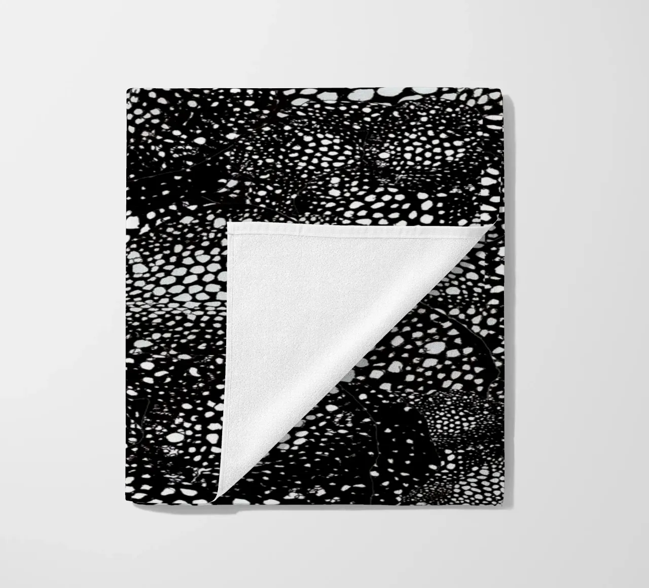 mora telo mare da Giulio Iurissevich