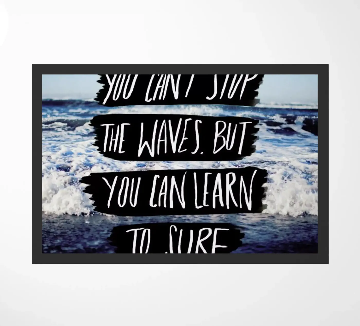 Learn to Surf zerbino da Leah Flores