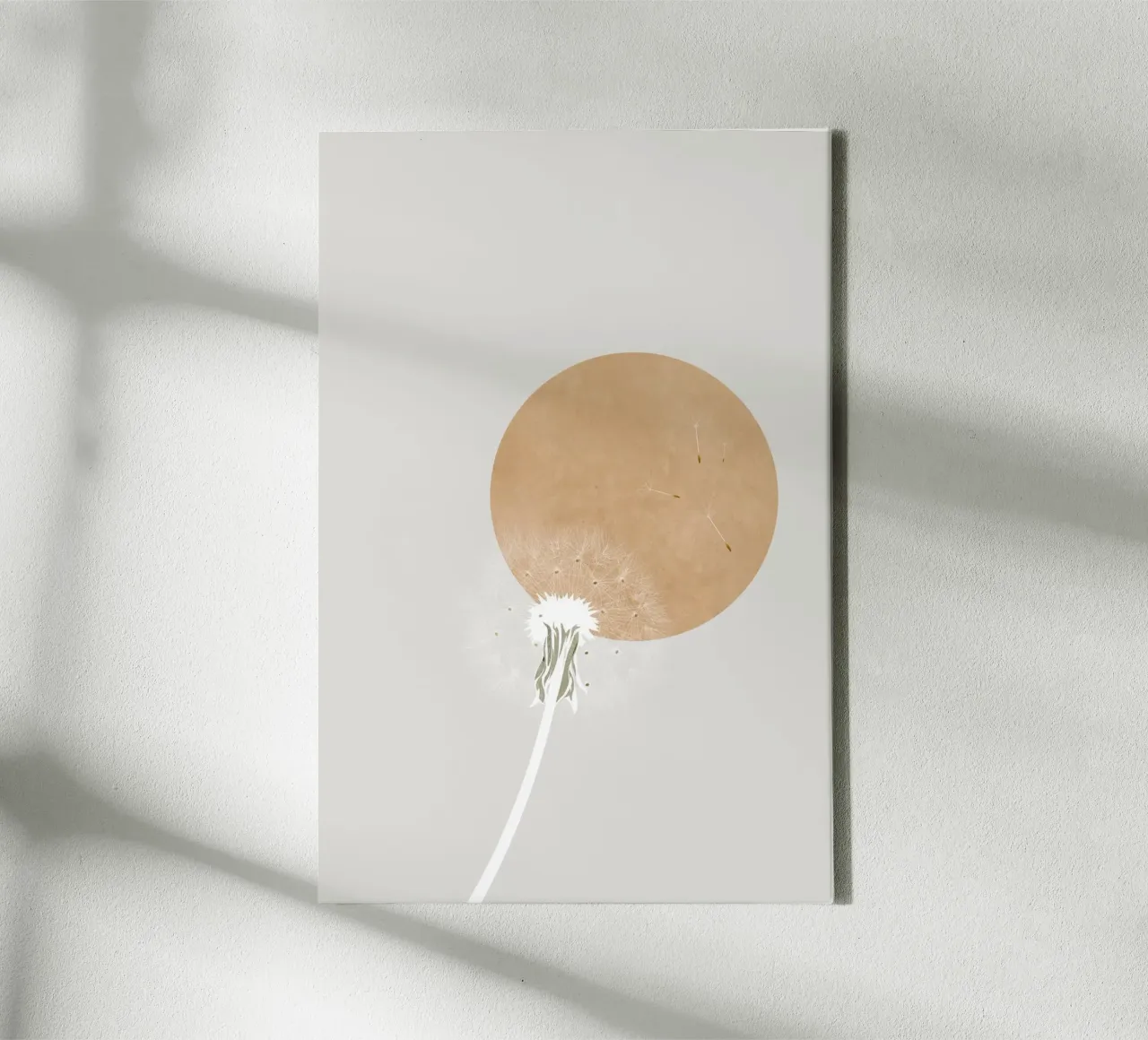 Paardenbloem in de zon canvas van studiopicaprints