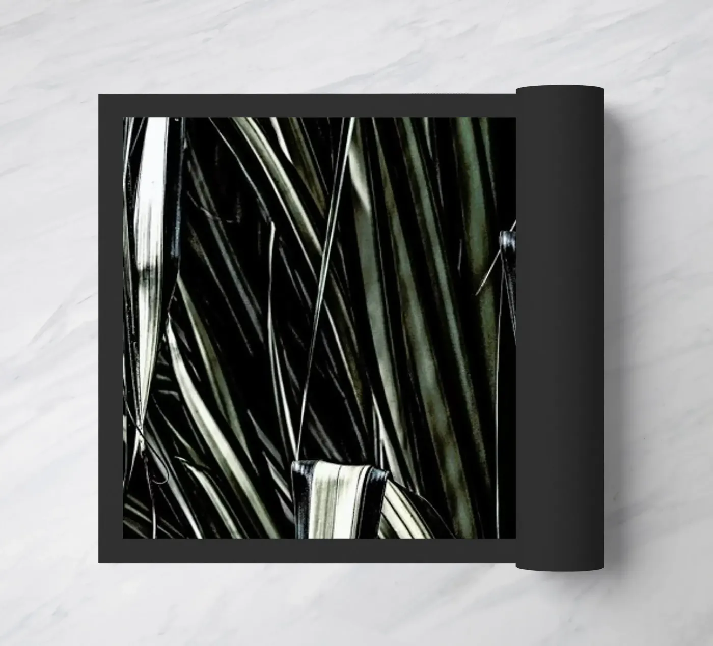 Jungle brush zerbino da Shot By Clint