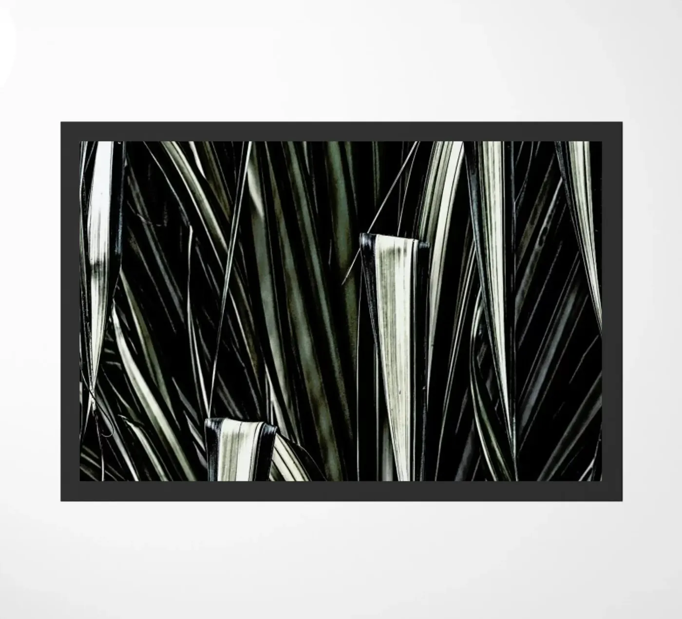 Jungle brush zerbino da Shot By Clint