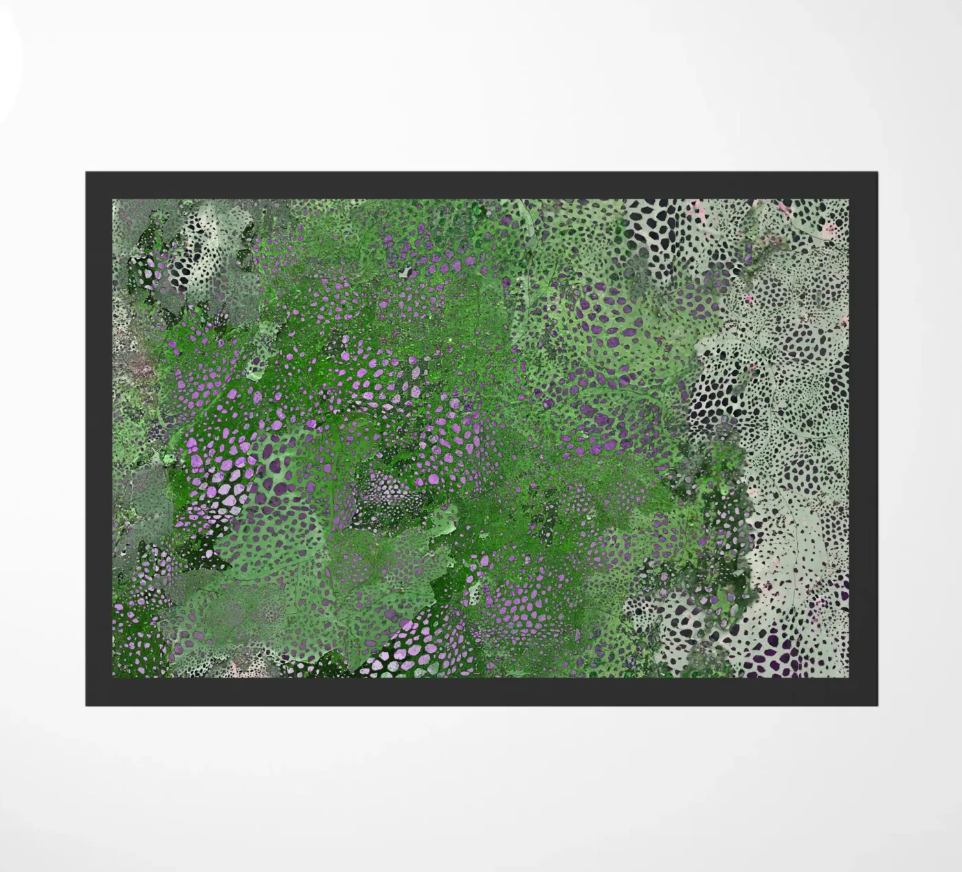 groen deurmat van Giulio Iurissevich