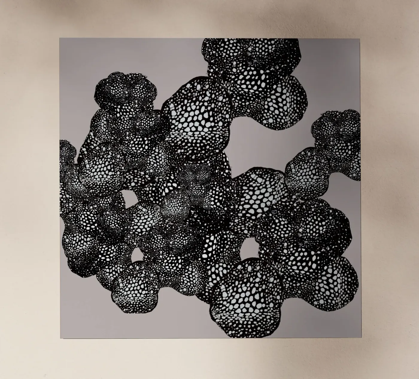 mora pellicola backlit da Giulio Iurissevich