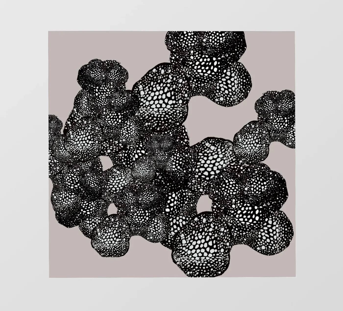 mora pellicola backlit da Giulio Iurissevich