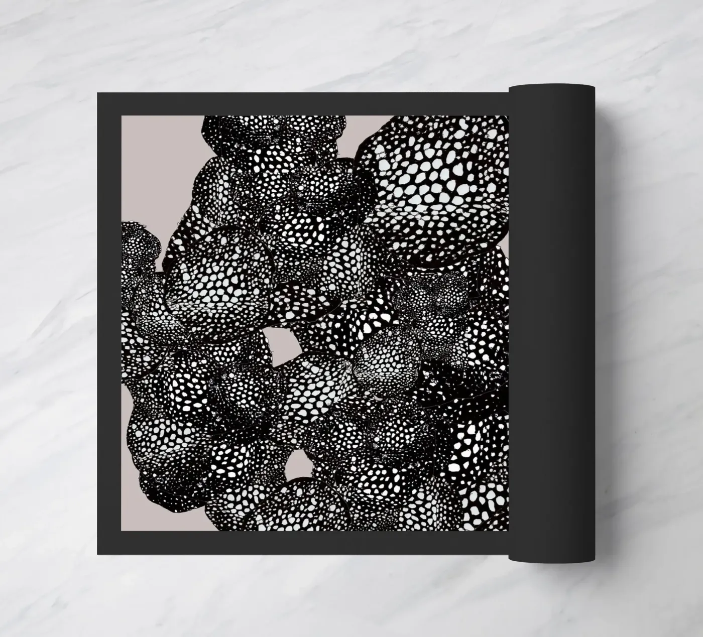 mora zerbino da Giulio Iurissevich