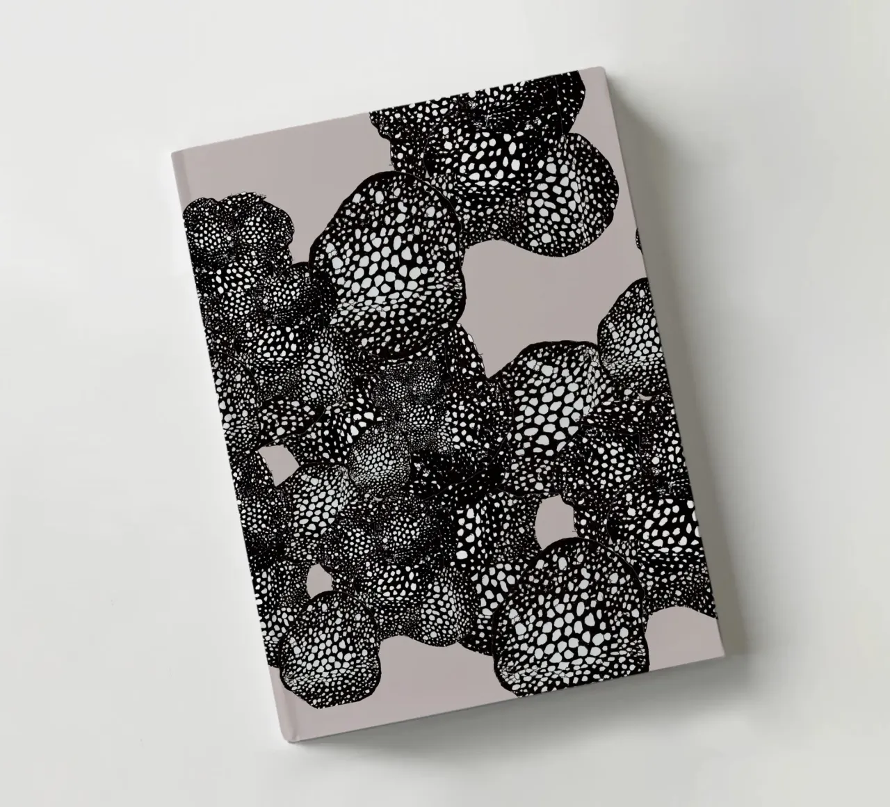 mora notebook by Giulio Iurissevich