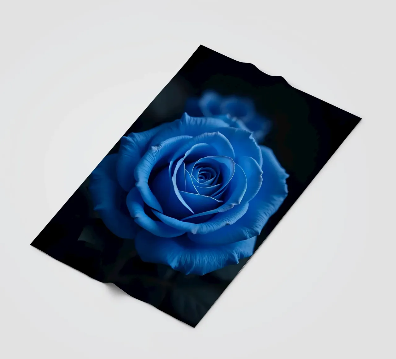 Rosa_blu_02 coperta in pile da Farb- und Blütenzauber by LK