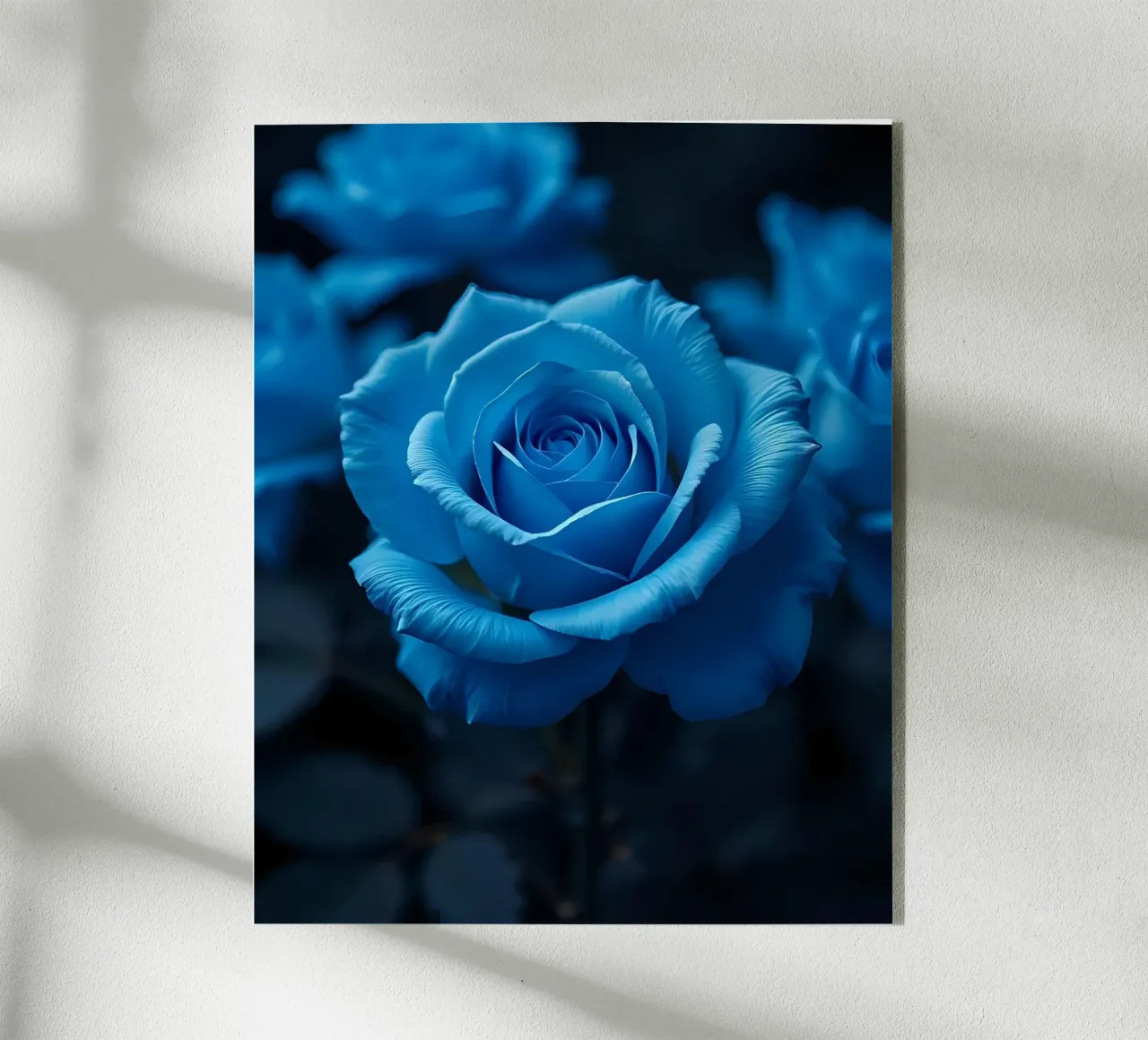 Rosa_blu_03 plexiglass da Farb- und Blütenzauber by LK